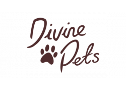 Divine Pet