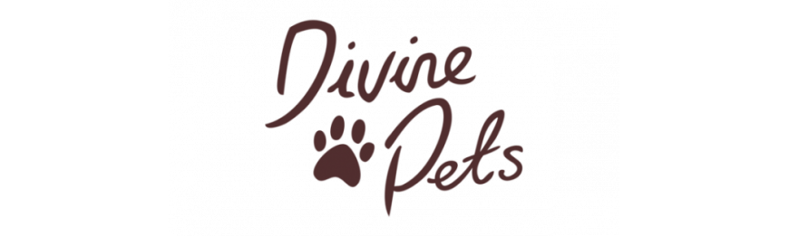 Divine Pet