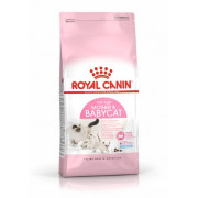 Royal Canin BB貓配方乾糧 2kg
