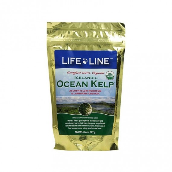  Life Line 天然有機海藻粉  Organic Ocean Kelp 8oz