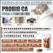 PROBIO CA 日本天然過敏性皮膚抗炎整腸粉 60g